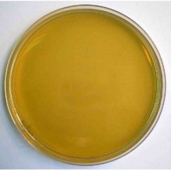 BILE ESCULINE A L'AZIDE GELOSE MILIEU x 500G