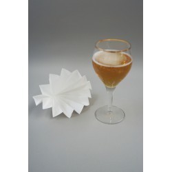 FILTRE POUR BRASSERIE Ø240MM XILAB® PACK 100 UNITES