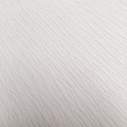 FILTRE PLAT STANDARD N°204 PAPIER CREPE TRES RAPIDE Ø 47MM x 50