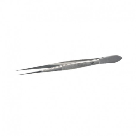 PINCE BRUCELLE POINTE FINE L130 MM x 2