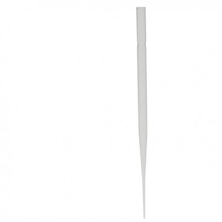PIPETTE PASTEUR EN VERRE 150MM NON COTONNEE x 250
