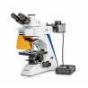 MICROSCOPE FLUORESCENT 4x 10x 20x 40x 100x OBN 142 KERN